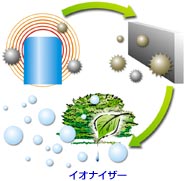 �t�@���W�o