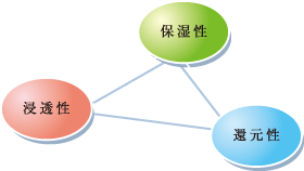 保湿性・浸透性・還元性