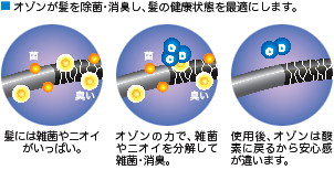 株式会社 ヴァイン