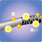 ���ɂ͎G�ۂ�j�I�C�������ς��B