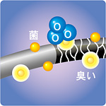 �I�]���̗͂ŁA�G�ۂ�j�I�C�𕪉����ď��ہE���L�B