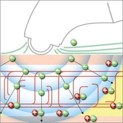 ���[���[���ʐ}