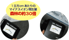 �C�I���`�F�b�N