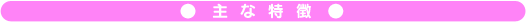 主な特徴